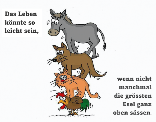 Warum es wichtig ist, eine gute Führungsperson zu sein und nicht als “grösster Esel” angesehen zu werden