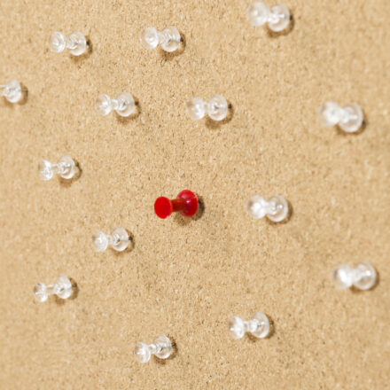 Führungskultur 2026: Warum Coaching und Teamentwicklung jetzt entscheidend sind