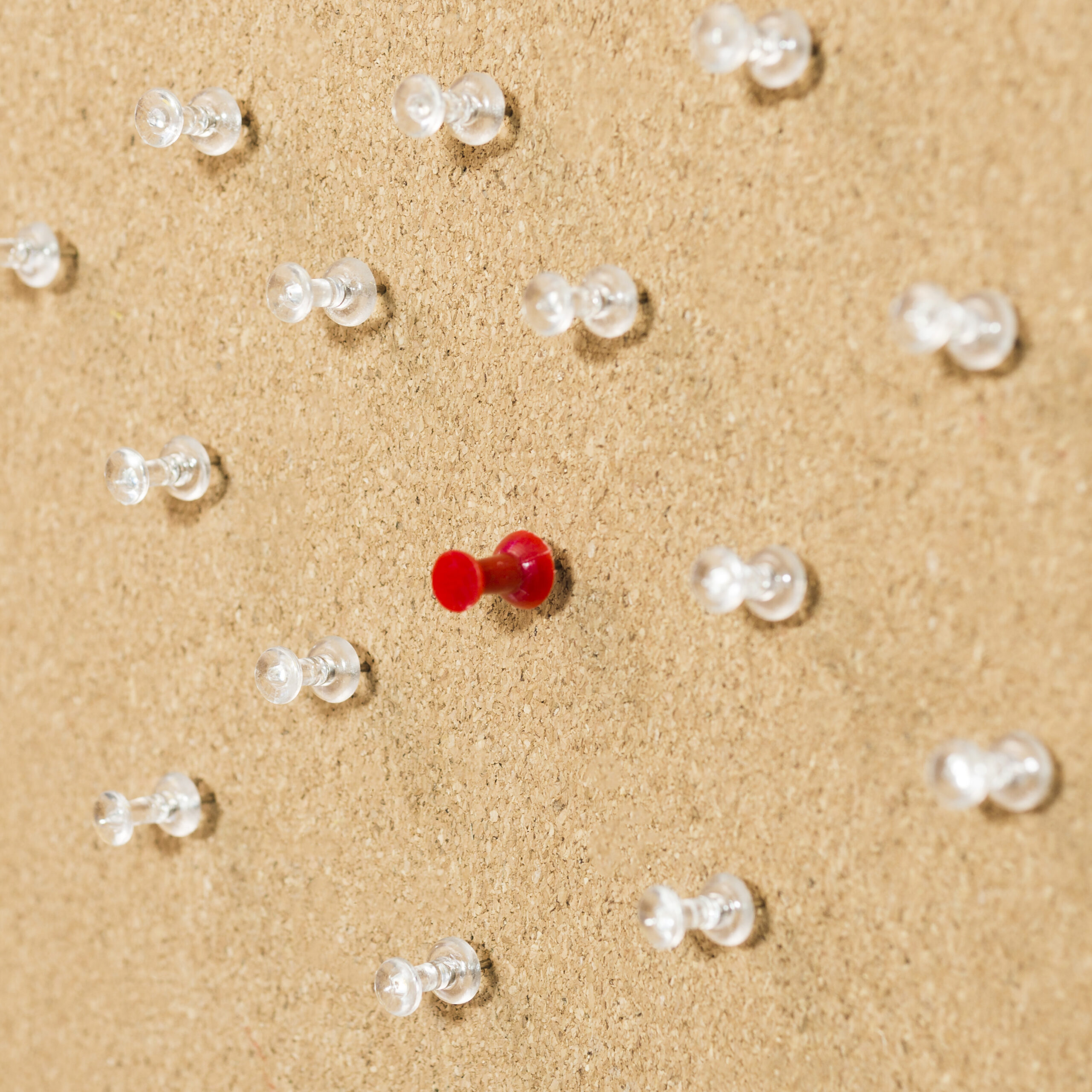 Führungskultur 2026: Warum Coaching und Teamentwicklung jetzt entscheidend sind